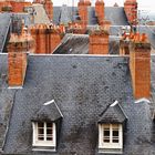Die Dächer von Blois