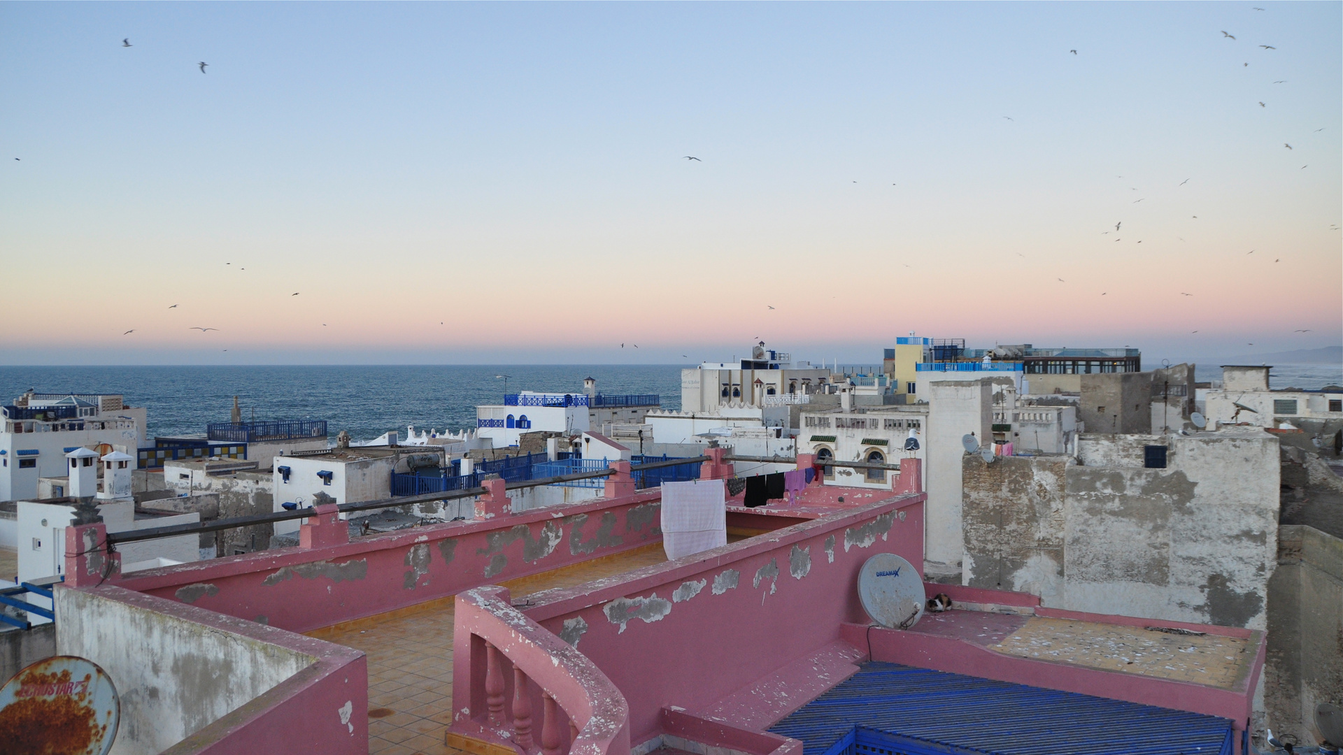 Die Dächer von Essaouira