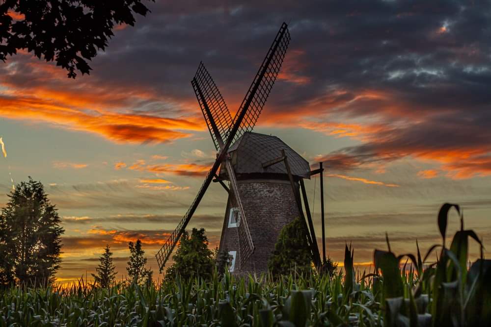 Die Dahlenmühle in Issum