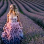 Die Dame im Lavendelfeld