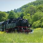 Die Dampflok-Eisenbahn kurz vor dem Ziel