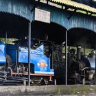 Die Dampflokomotiven des Darjeeling Himalayan Railway...
