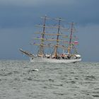 Die "Dar Mlodziezy" auf der Ostsee vor Warnemünde zur Hanse Sail 2013