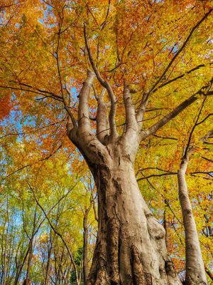 Die dargebotene Hand