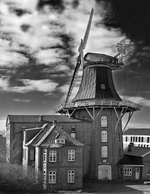 Die Deichmühle in Norden....