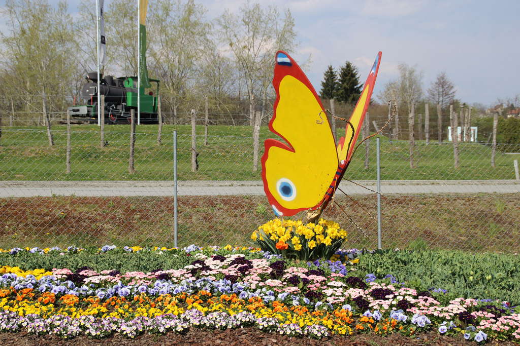 Die Deko bei der Falterausstellung in Stainz 