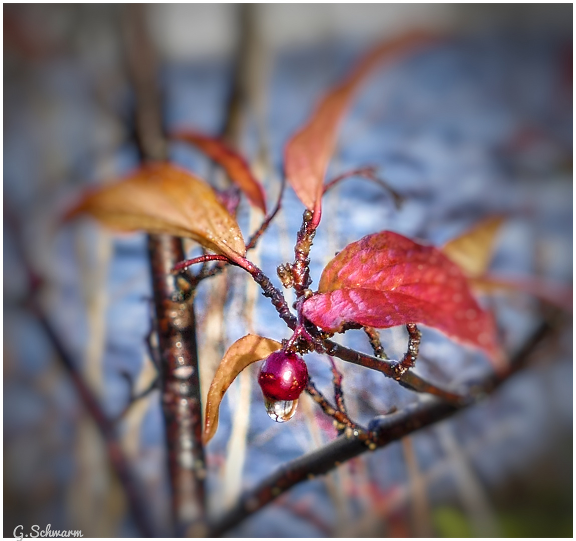 Die Demut der Natur!