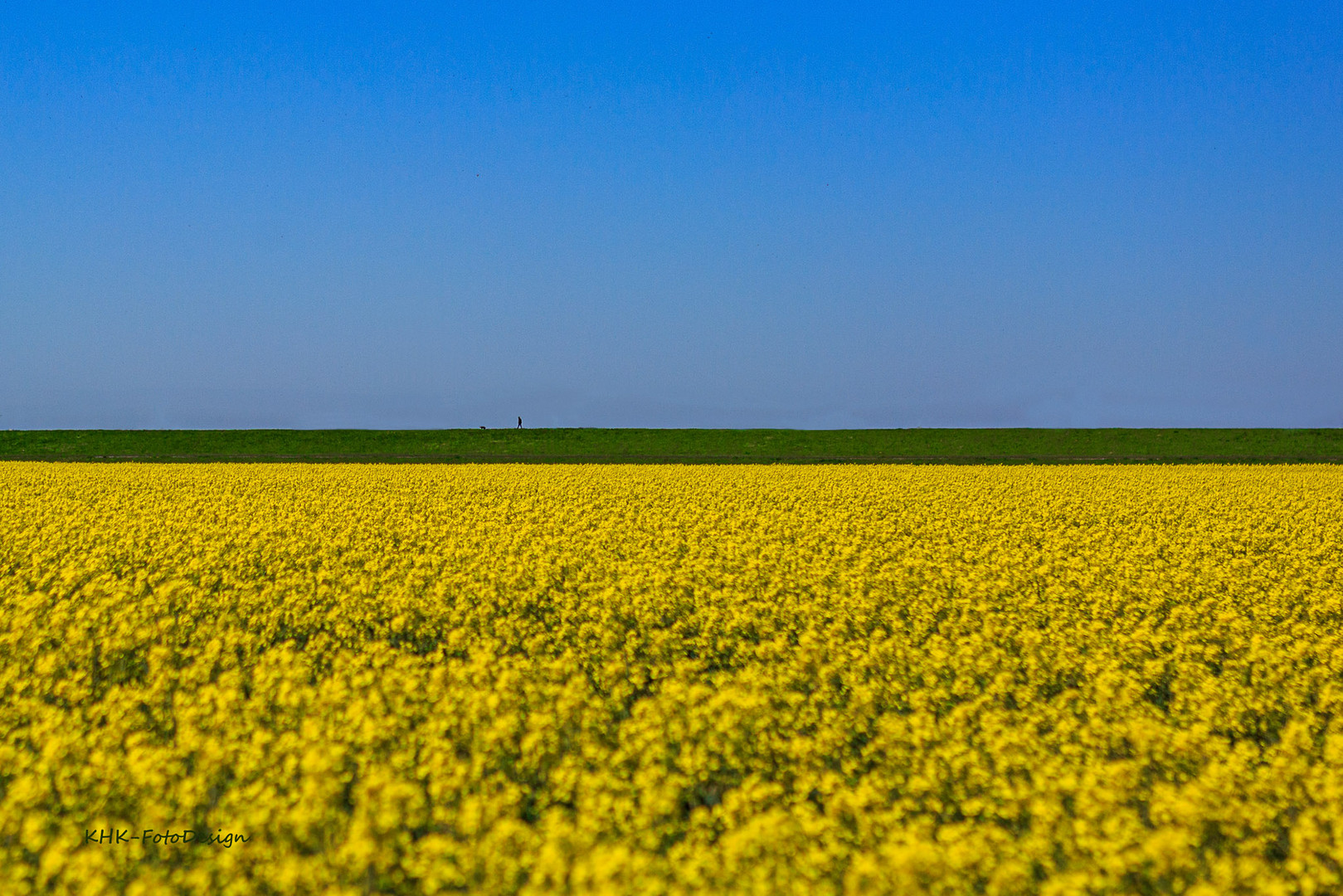 Die derzeitigen Farben des Niederrhein. 