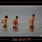 Die Detektive in Rocky Beach wachsen heran...