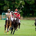 die deutsche high-goal-meisterschaft