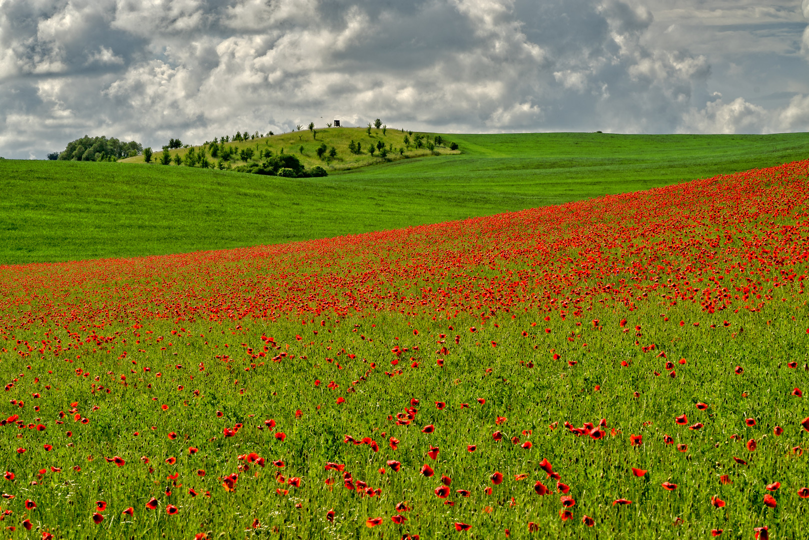 Die deutsche Toskana - die Uckermark