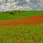 Die deutsche Toskana - die Uckermark