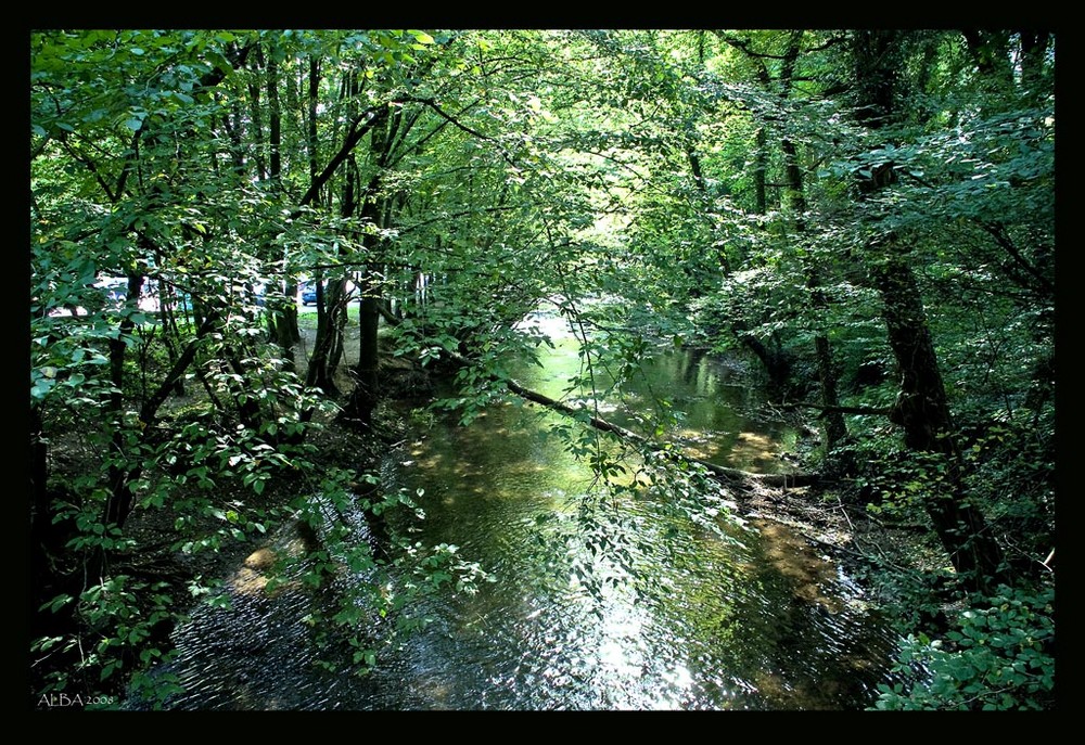 Die Dhünn bei Altenberg