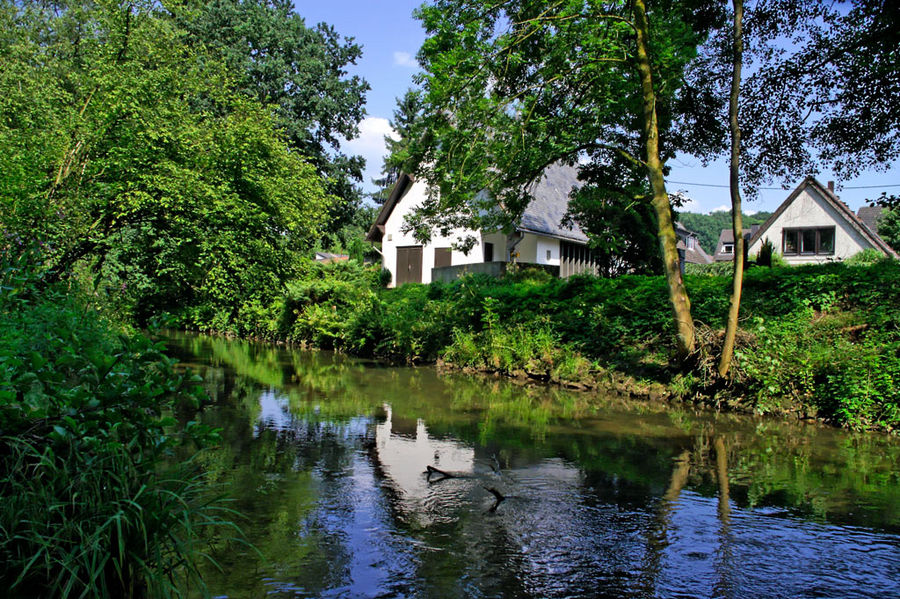 Die Dhünn bei Odenthal