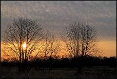 Die dichte Wolkendecke