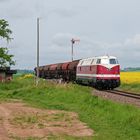 Die Dicke aus Babelsberg auf passender Strecke