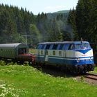 Die dicke Babelsbergerin auf dem Weg zum Rennsteig