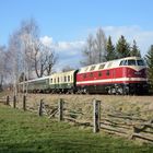 die dicke Babelsbergerin in der Lausitz