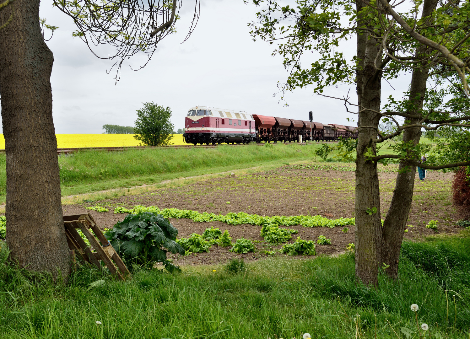 Die Dicke Babelsbergerin unterwegs zwischen Erfurt und Nordhausen