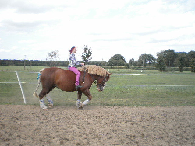 die dicke maja beim training mit mir =)