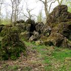 Die Dicken Steine bei Schloß Homburg