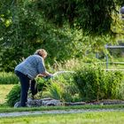 die , die einen Grünen Daumen hat