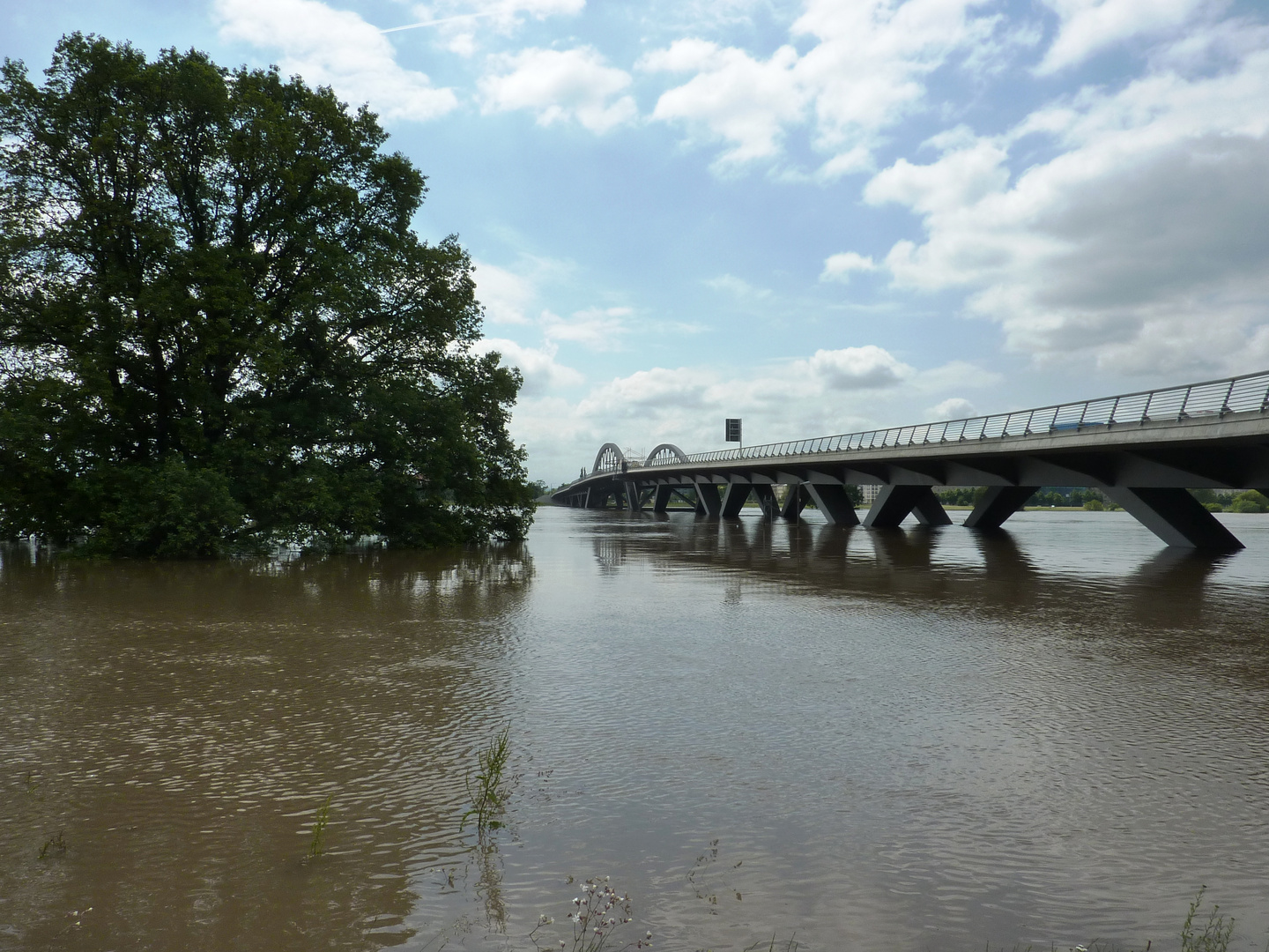 Die die Elbe überwindende Waldschlösschenbrücke mit dem Junihochwasser 2013