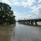 Die die Elbe überwindende Waldschlösschenbrücke mit dem Junihochwasser 2013