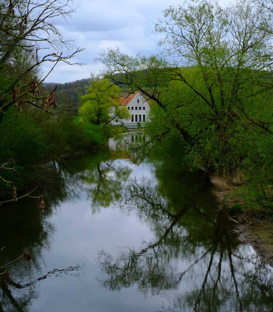 Die Diemel bei Wülmersen 