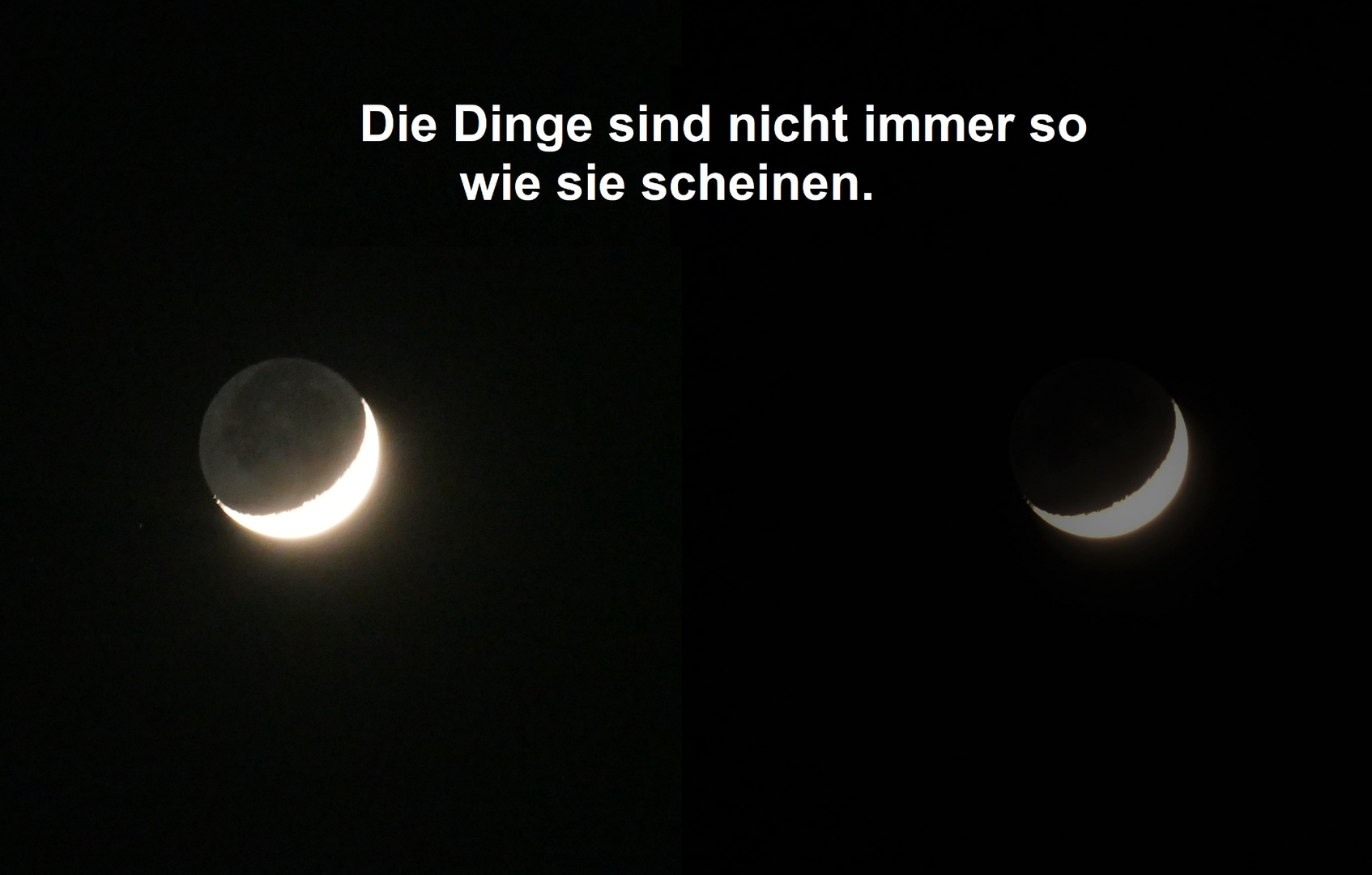 Die Dinge