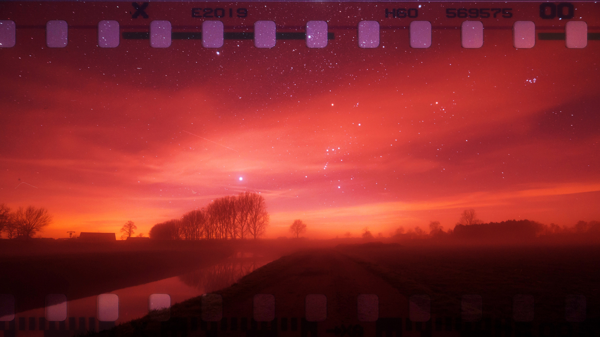 Die Dinkel im Nebel