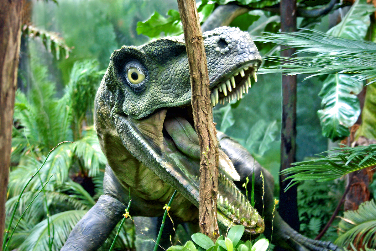 Die Dinos Sind Los Foto Bild Fotos Natur Pflanzen Bilder Auf Fotocommunity