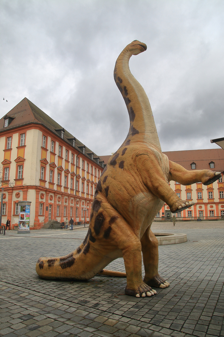 Die Dinosaurier sind los in Bayreuth.......