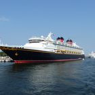 DIE DISNEY MAGIC UND DIE BRAEMAR