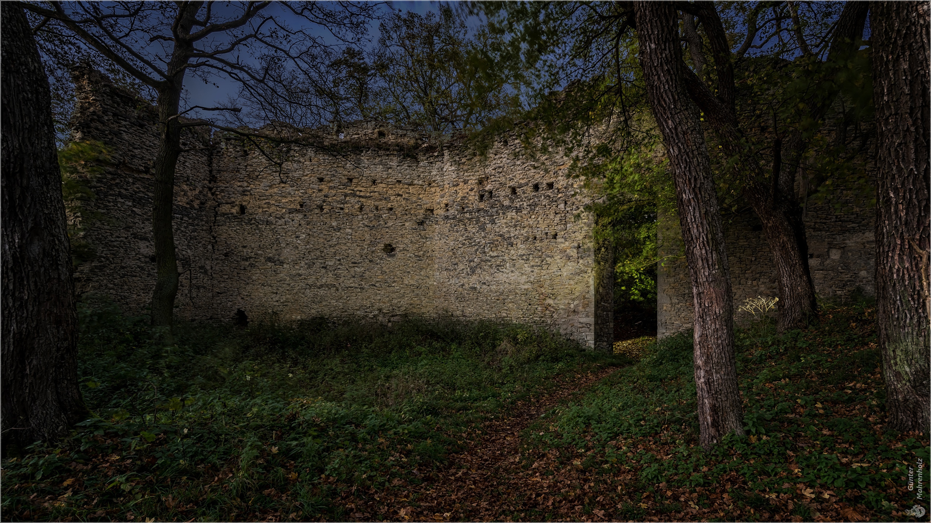 Die Domburgruine