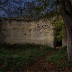 Die Domburgruine