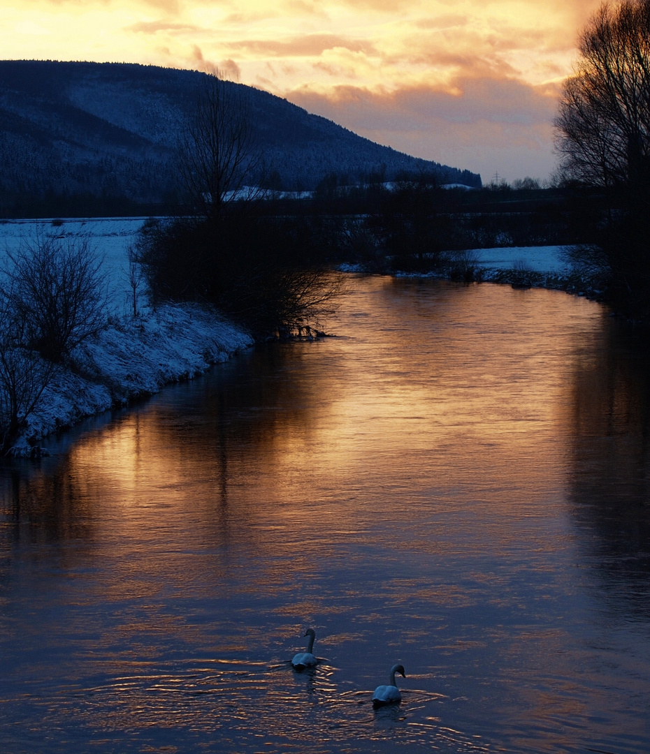 Die Donau bei Hintschingen (Immendingen)