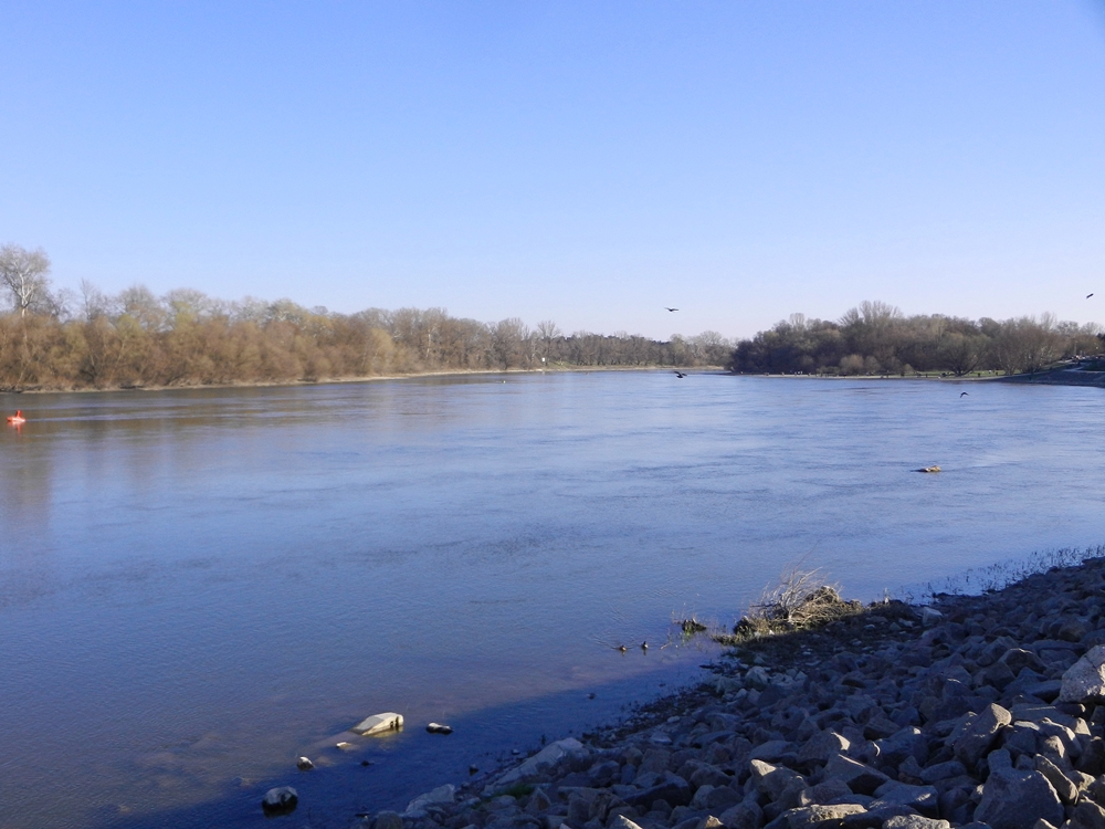 Die Donau heute ( 14.03.2016) bei Szentendre...