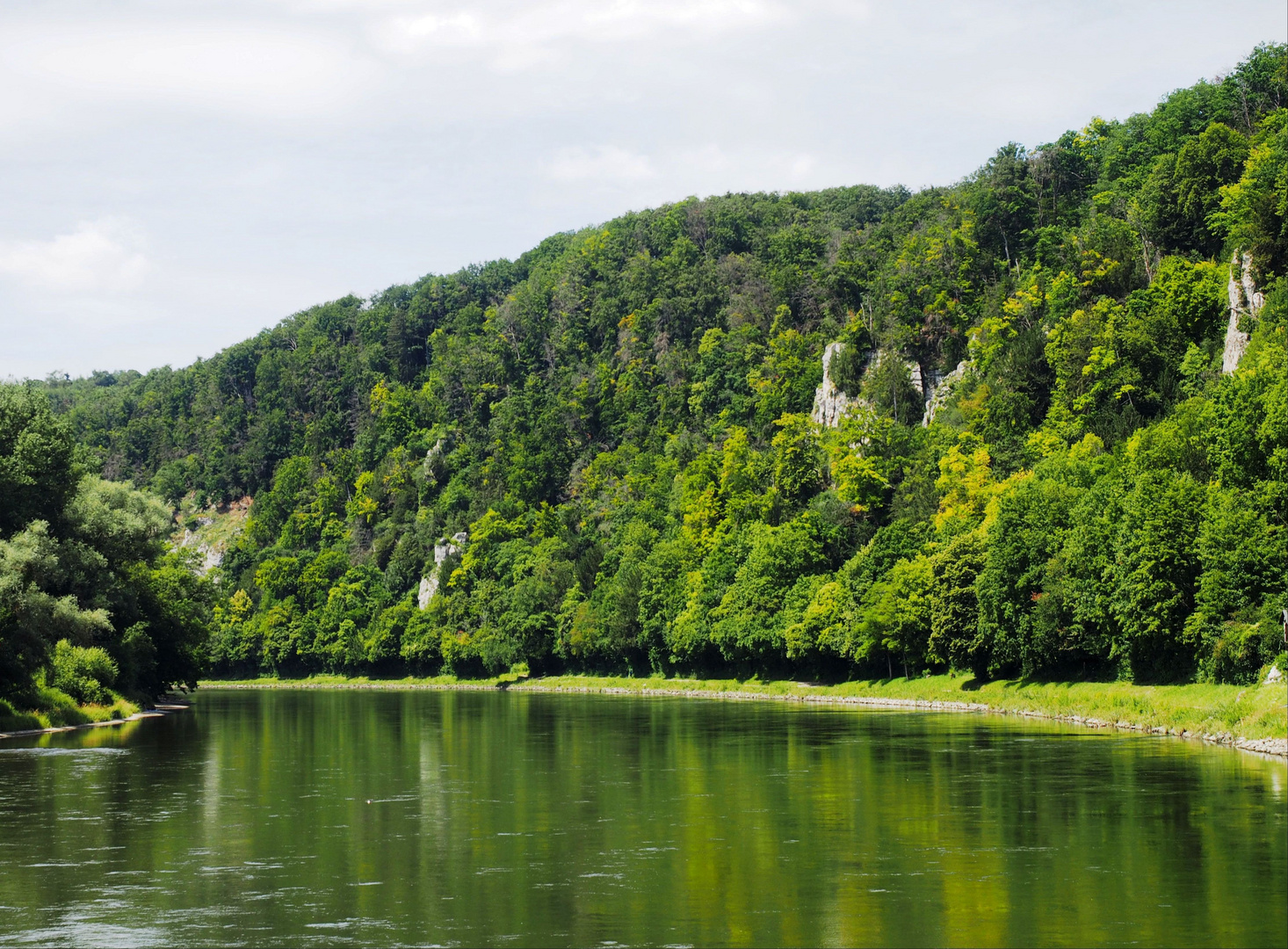 Die Donau - hier nicht die blaue, sondern die grüne