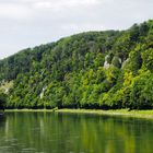 Die Donau - hier nicht die blaue, sondern die grüne