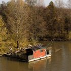 Die Donau in der Lobau - Wien