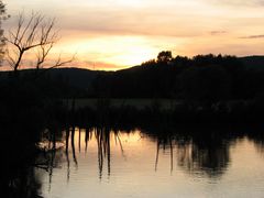 die Donau in Regensburg