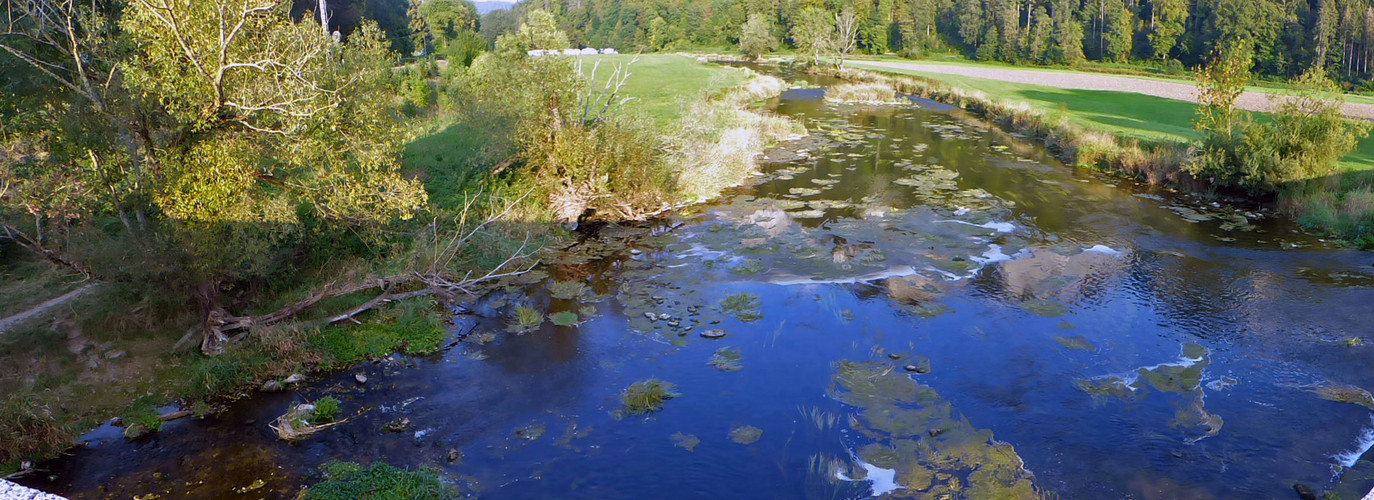 Die Donau ist wirklich BLAU .  .  