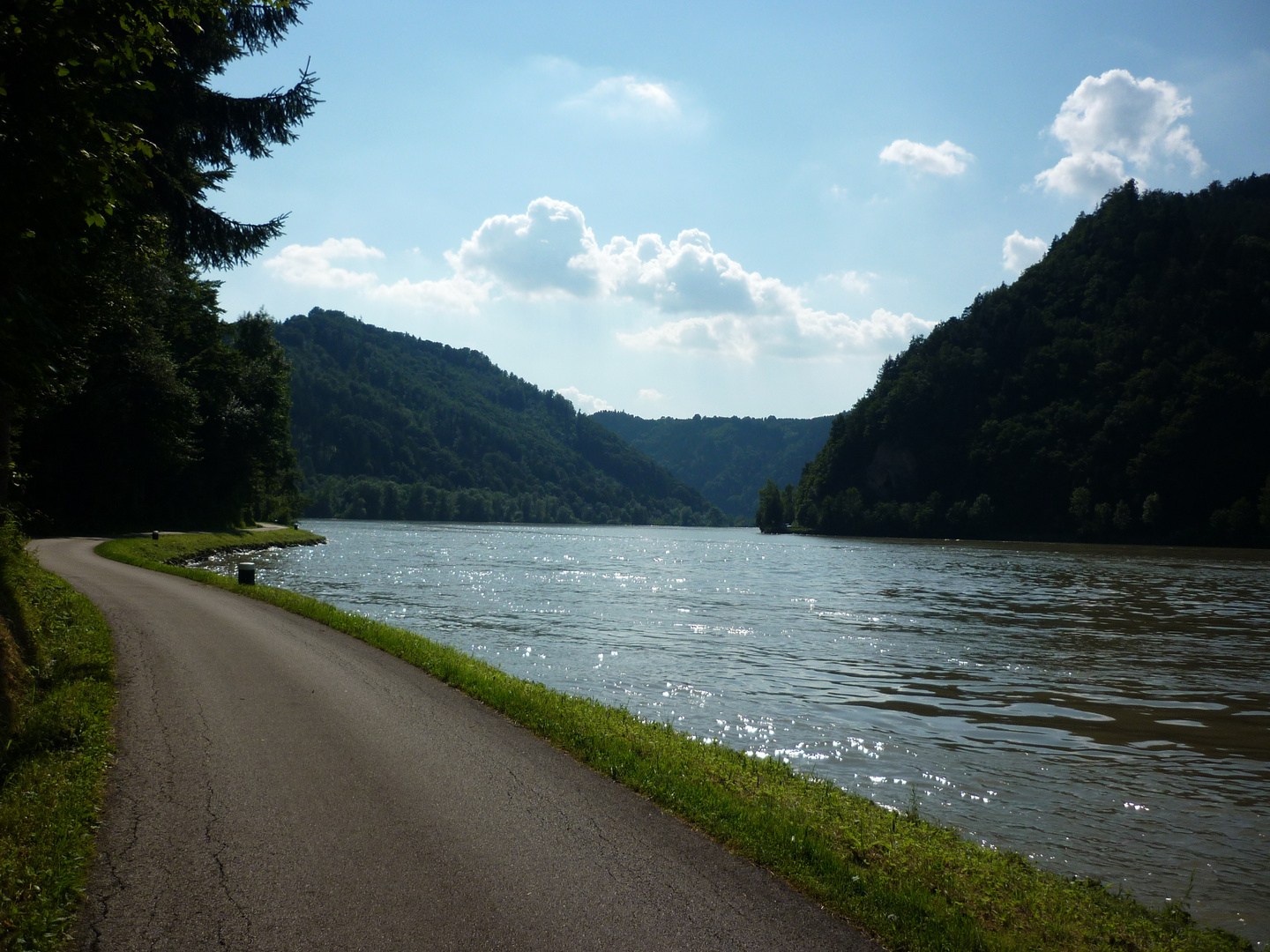 Die Donau - Schlögener Schleife- auf meiner Reise von Chur nach Wien