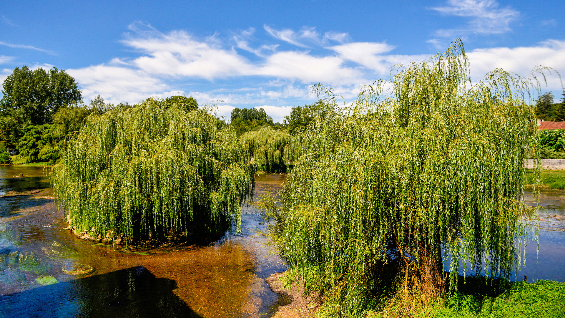 Die Dordogne-Weiden