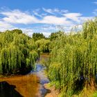 Die Dordogne-Weiden