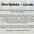 die Dorflinde