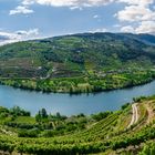 Die Douro-Schleife