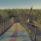 Die Drachenbrücke