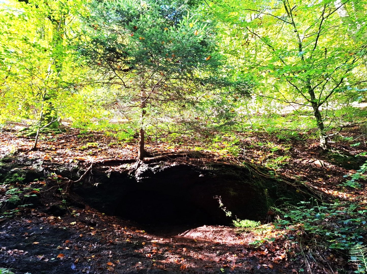 die Drachenhöhle